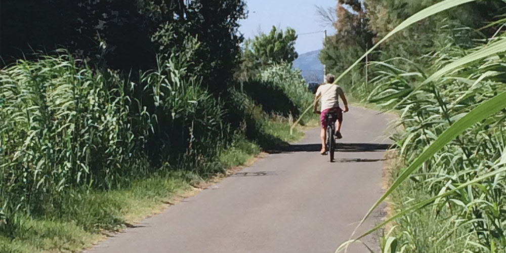 Fietsrondje rond het meer 