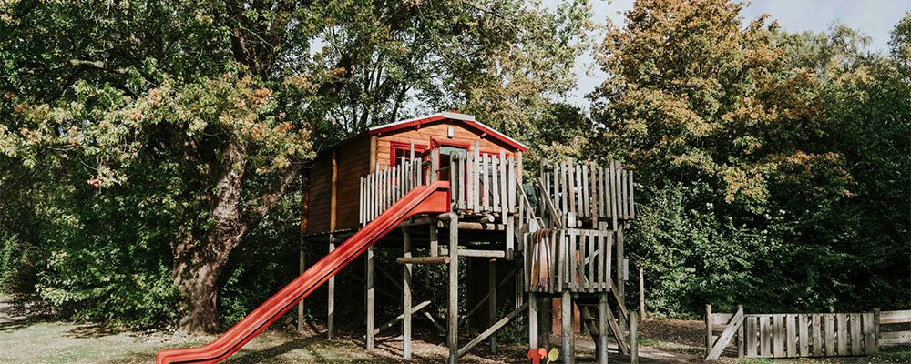 de boomhut op dierenbos