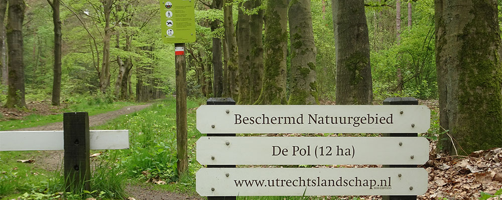 natuurgebied de pol in de Utrechte heuvelrug