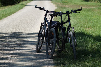 Fietsen langs de Rijn
