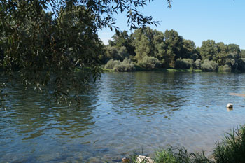 Fietsen langs de Rijn