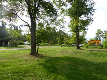 Fietsen langs de Rijn