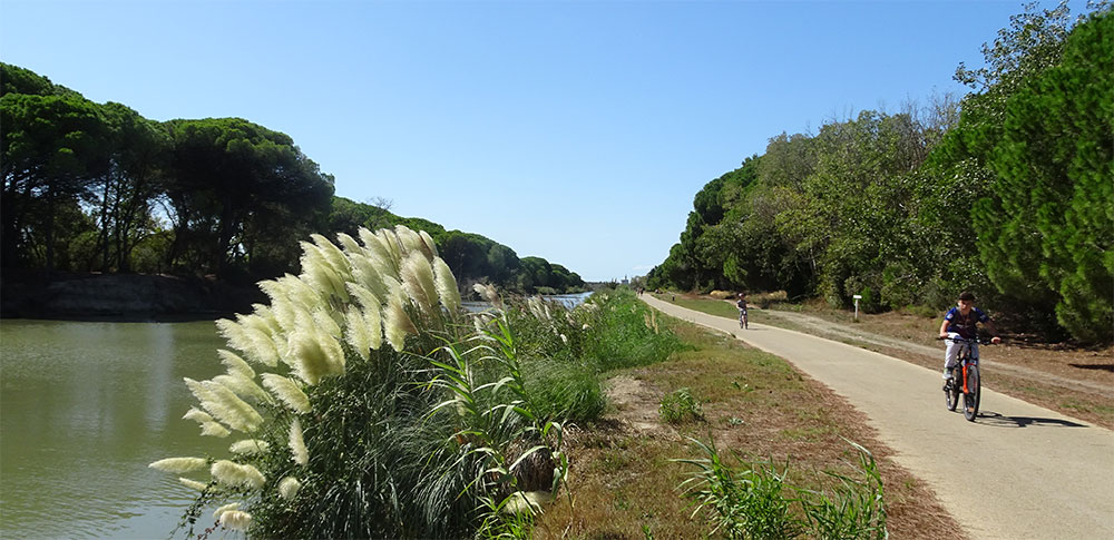 Fietsen langs kanaal van Gallician naar Aigues Mortes Fietsen langs kanaal van Gallician naar Aigues Mortes