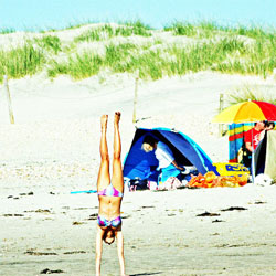 ©GarethWilliamsWonderfulwestwitteringFlickr