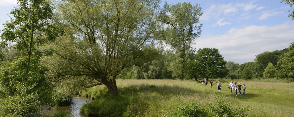 Wandelen in het Geuldal