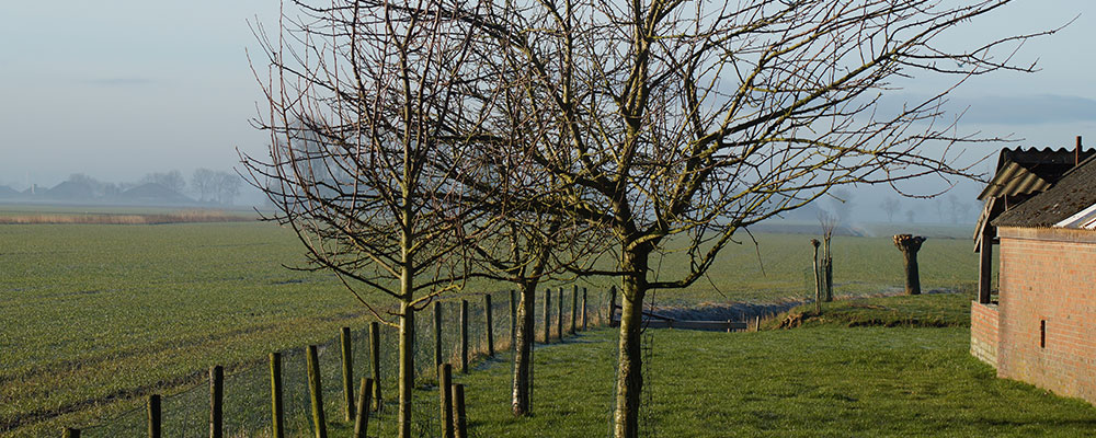 Het landschap in Groningen
