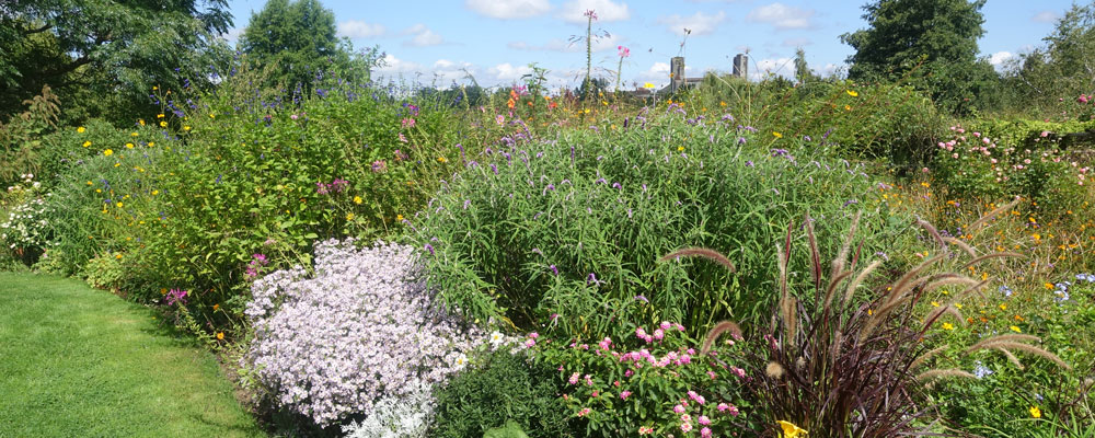 Jardins de Coursiana
