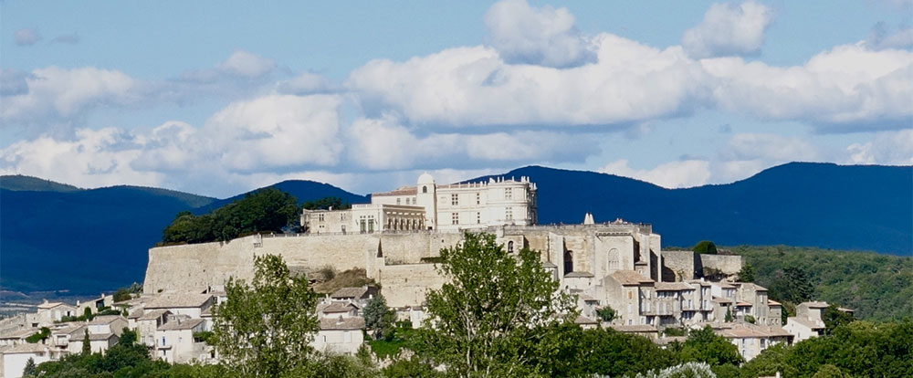 Chateau in Grignan