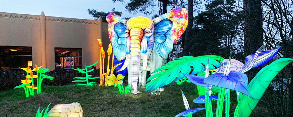 Light safari Beekse Bergen Light safari Beekse Bergen