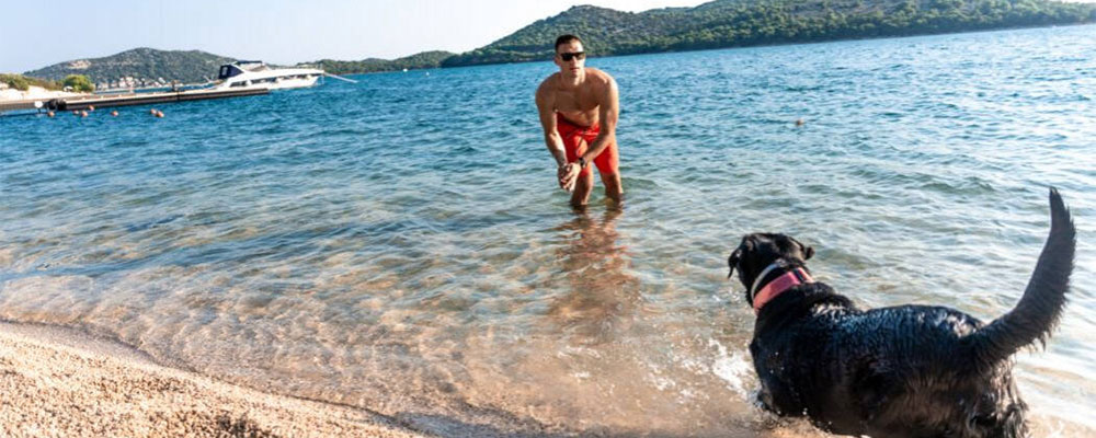 strand hond olivia green met de hond op strand olivia green