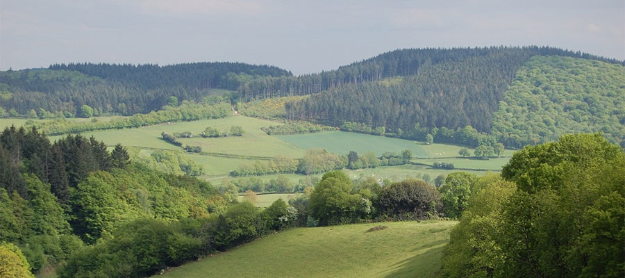 Uitzicht over de heuvels van de Morvan