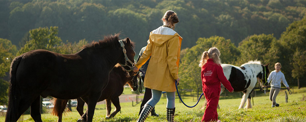 Met een paard wandelen op een Farmcamps camping