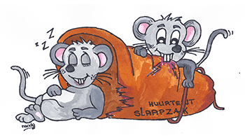 Slaapzakmuizen