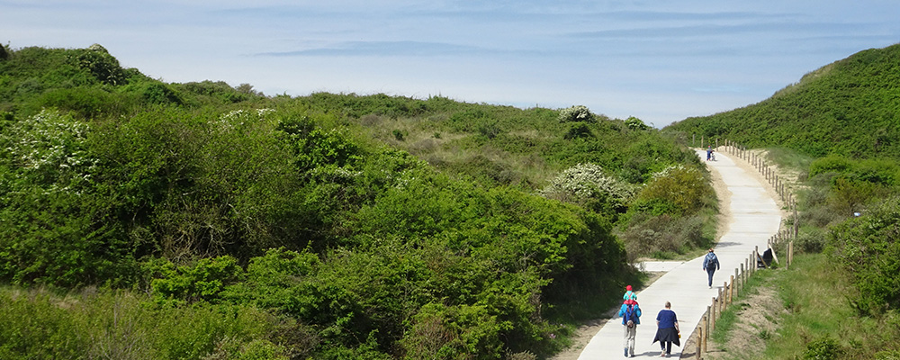 Wandelen in de duinen in het voorjaar