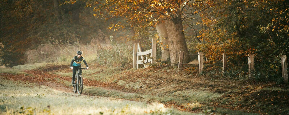 Camping Vreehost, Achterhoek