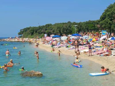 Thumbnail 3 van Amarin