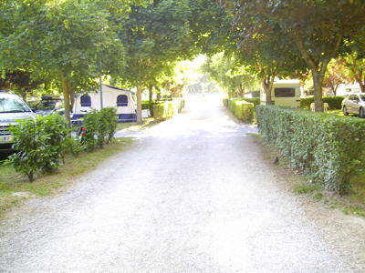 Thumbnail 3 van Les Erables