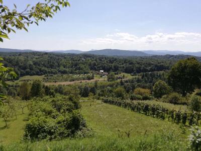 Thumbnail 2 van SretanWolf