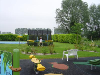 Thumbnail 5 van Haliotis