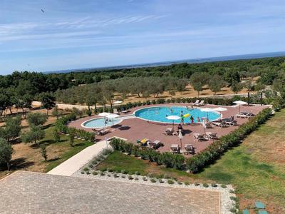 Thumbnail 3 van Papafigo