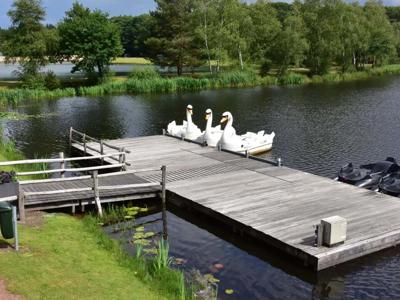 Thumbnail 4 van Bospark 't Wolfsven