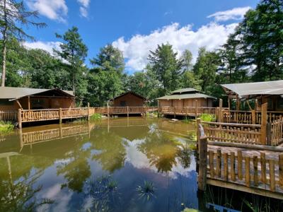 Thumbnail 3 van Horstmannsbos