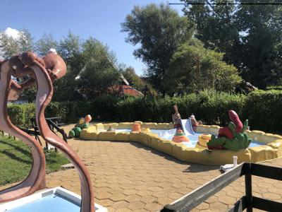 Thumbnail 3 van Duinoord