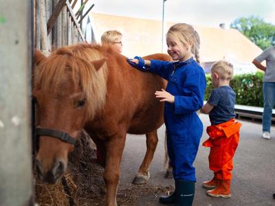 Thumbnail 5 van Hoeve Luyterheyde Farmcamps