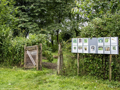 Thumbnail 5 van Catsop