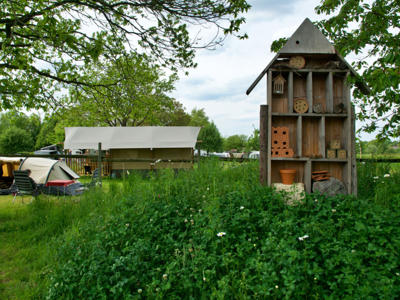 Thumbnail 3 van Catsop