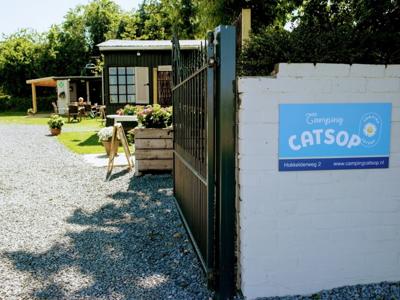 Thumbnail 2 van Catsop