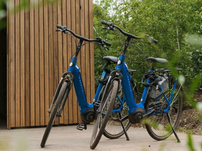 Thumbnail 5 van Landal Brinckerduyn