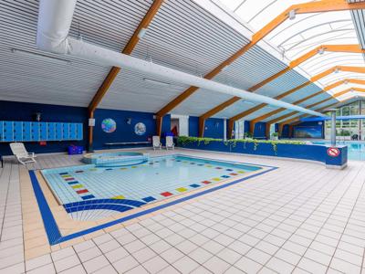 Thumbnail 3 van Park Campanula