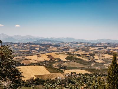 Thumbnail 4 van La Casetta delle Marche