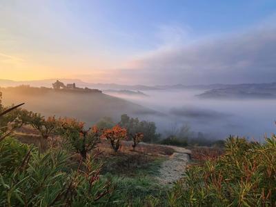 Thumbnail 5 van La Casetta delle Marche