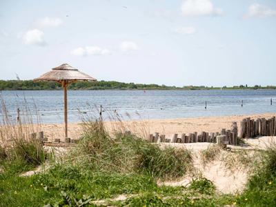 Thumbnail 3 van RCN de Schotsman