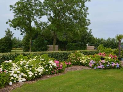 Thumbnail 3 van De Tulpenweide