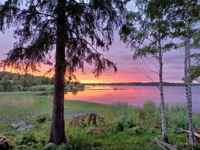 Thumbnail 3 van Falkudden