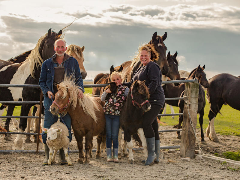 Foto van De Bonte Fries FarmCamps