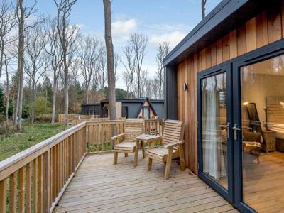 Thumbnail 3 van Landal Kenwick Woods