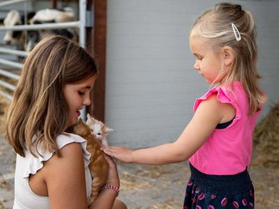 Thumbnail 4 van De Kalverliefde Farmcamps