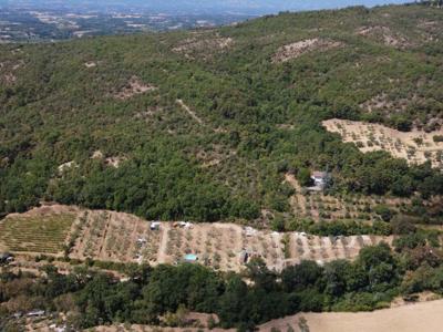 Thumbnail 2 van Borgo Agna