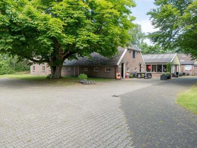 Thumbnail 3 van De Beukenhof