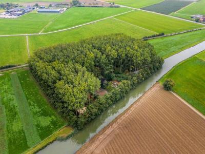 Thumbnail 3 van Ruysbos