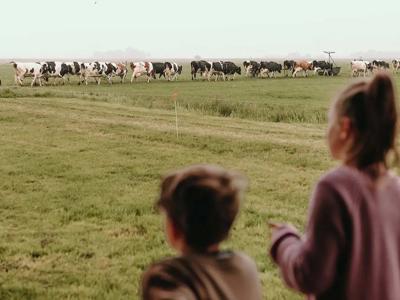 Thumbnail 2 van BoerenBed Botterheerd