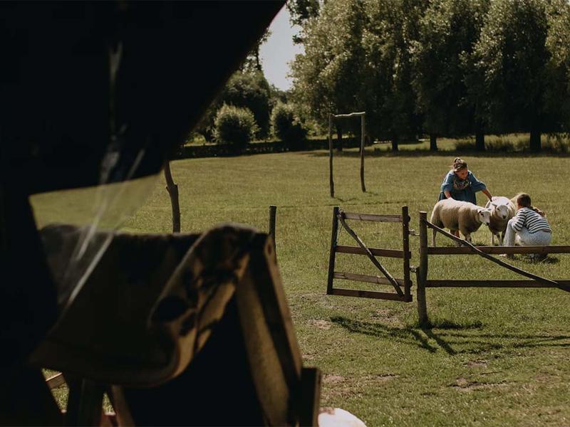 Foto van BoerenBed Landgoed ter Wijnendale