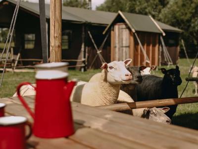 Thumbnail 3 van BoerenBed Landgoed ter Wijnendale