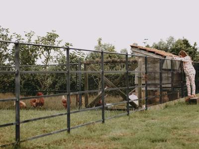 Thumbnail 5 van BoerenBed Landgoed ter Wijnendale