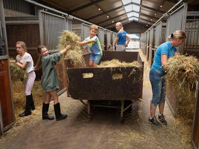 Thumbnail 5 van Holzik Stables FarmCamps 