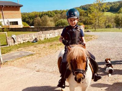 Thumbnail 4 van Soodehof Eins FarmCamps